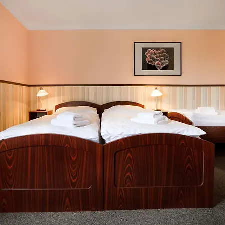 Daniela ホテル 3*